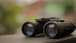 What is a Board Observer?